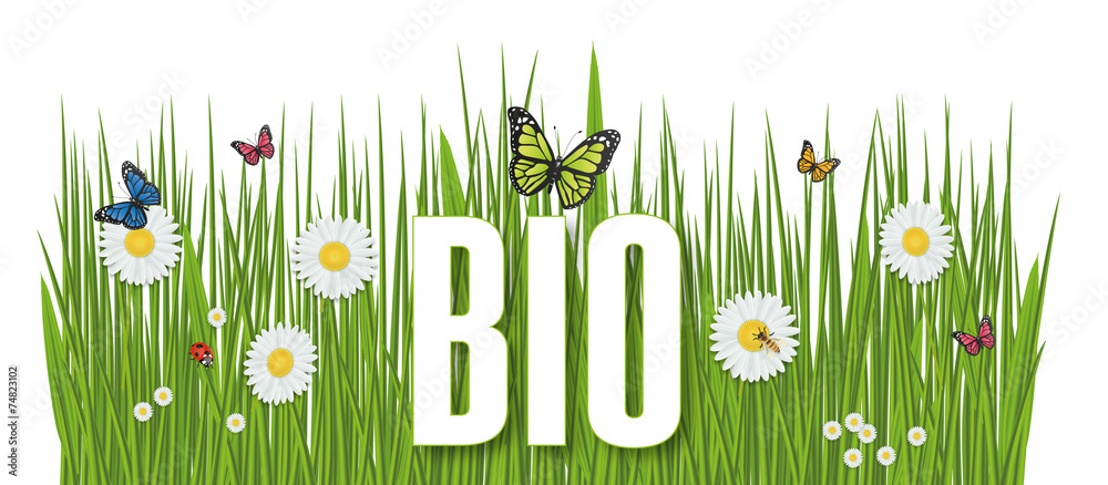 BIO HERBE