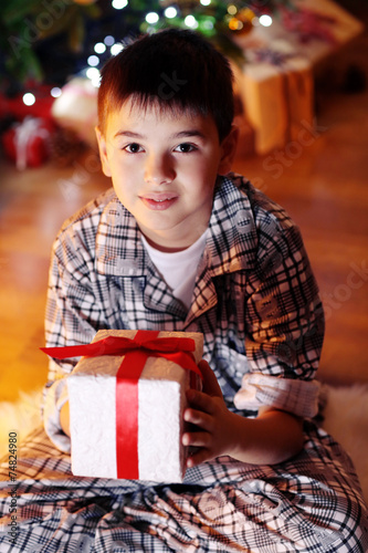 Little boy sitting near fir...