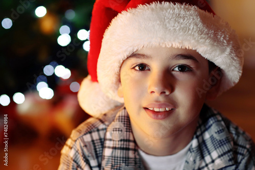 Little boy sitting near fir...