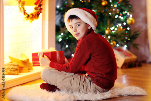 Little boy sitting near fir...