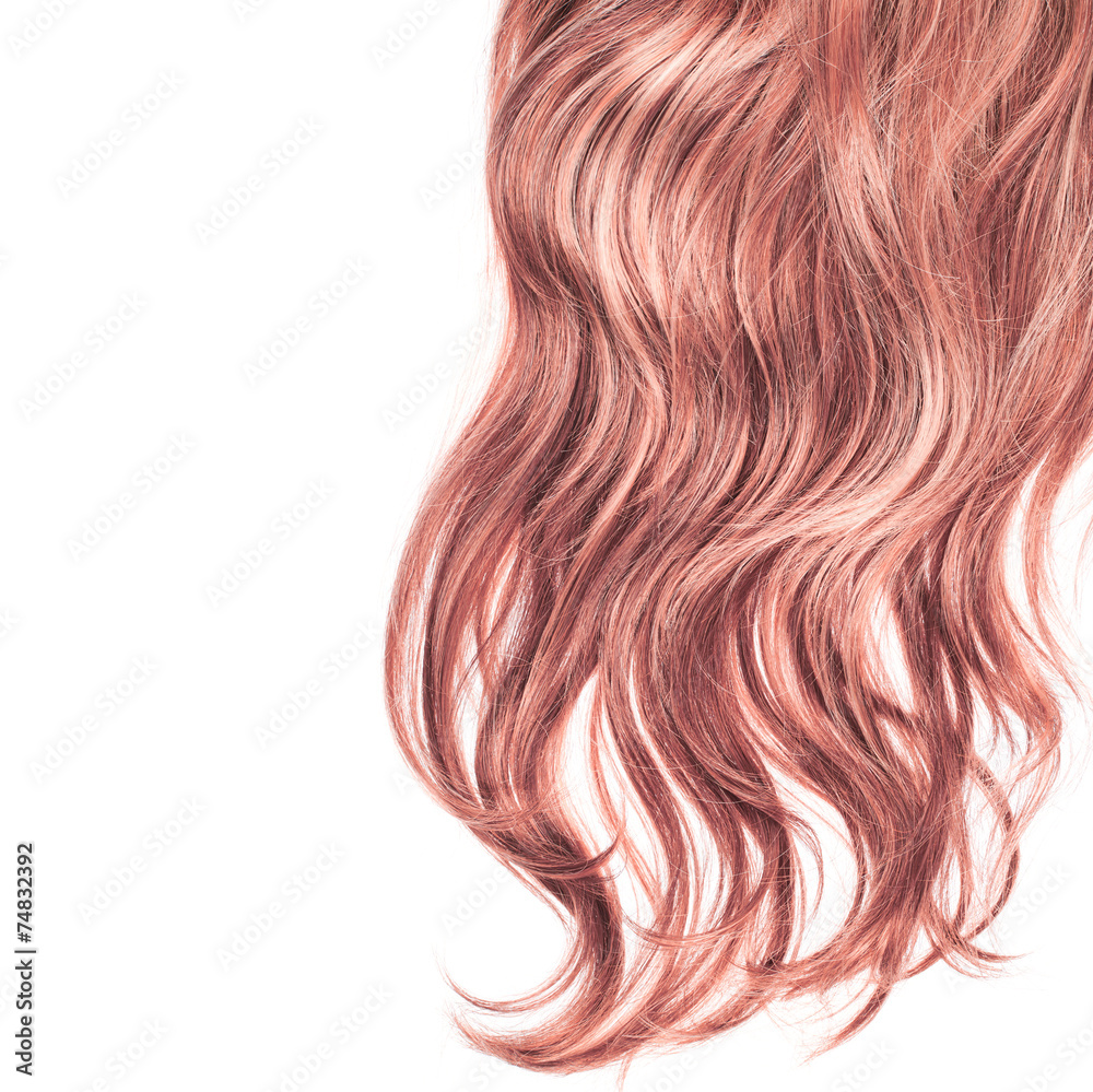 Hair fragment over the white Hair fragment over the white