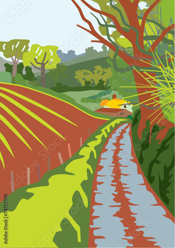 Country Lane In Springtime