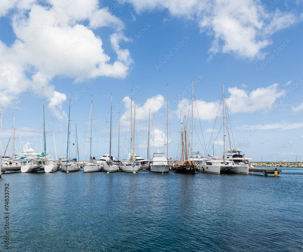 White Tall Masted Sailboats in Blue Harbor