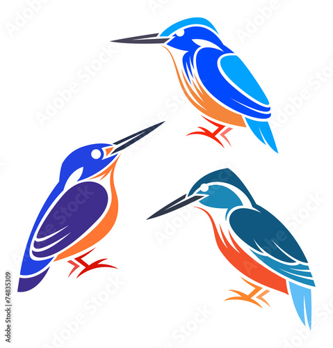 Stylized Birds - Kingfishers