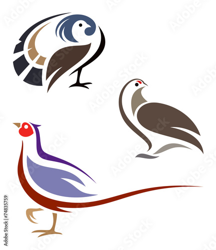 Fotografie, Tablou Stylized Birds - Grouse, Pheasant and Partridge