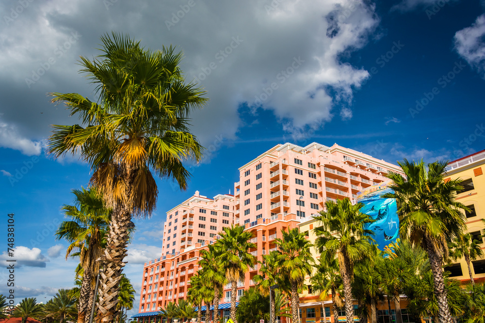 Palm trees and large hotel in Clearwater Beach, Florida.