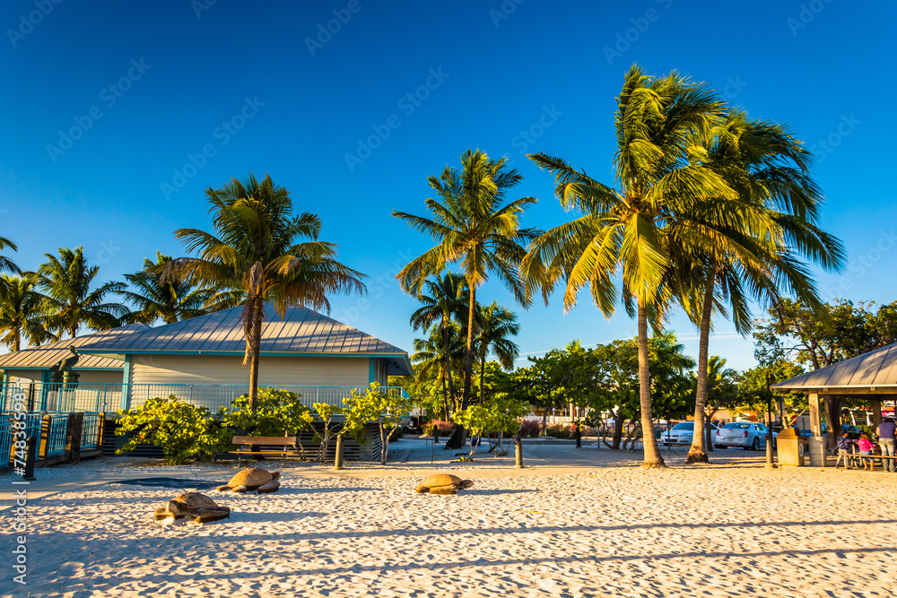 Fototapeta premium Palm trees on the beach in Fort Myers Beach, Florida.