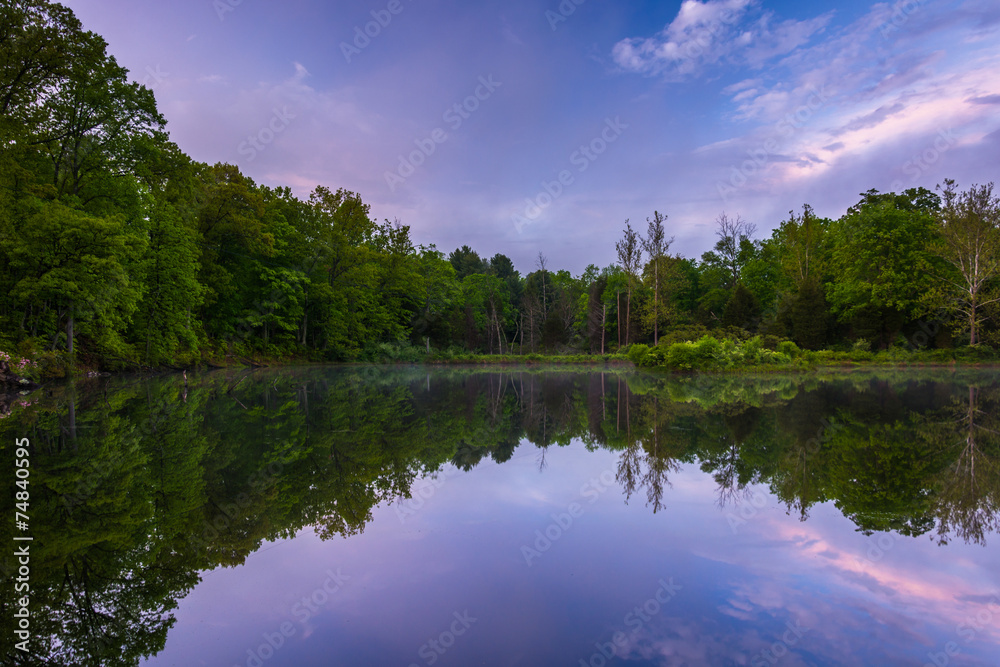 Reflections at a pond in Delaware Water Gap National Recreationa