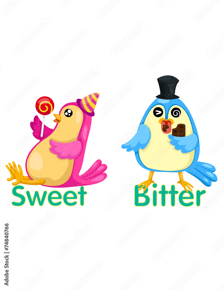 cute birds with opposite words cute birds with opposite words