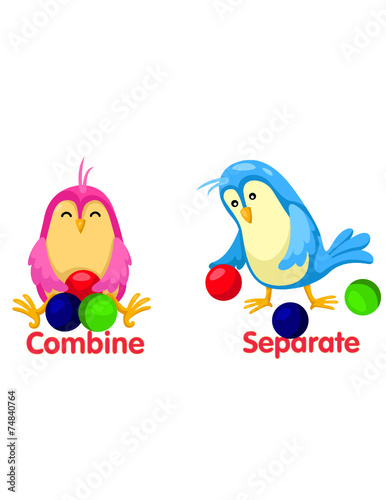 cute birds with opposite words