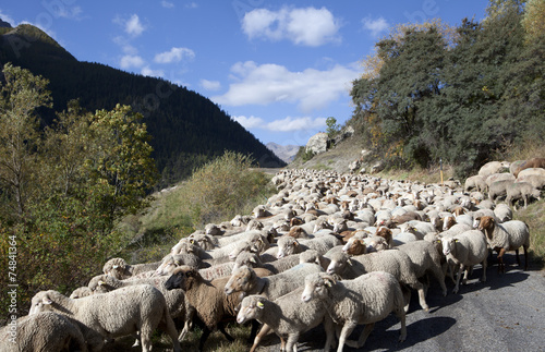 Saison Berger, Alpes de hautes Provence