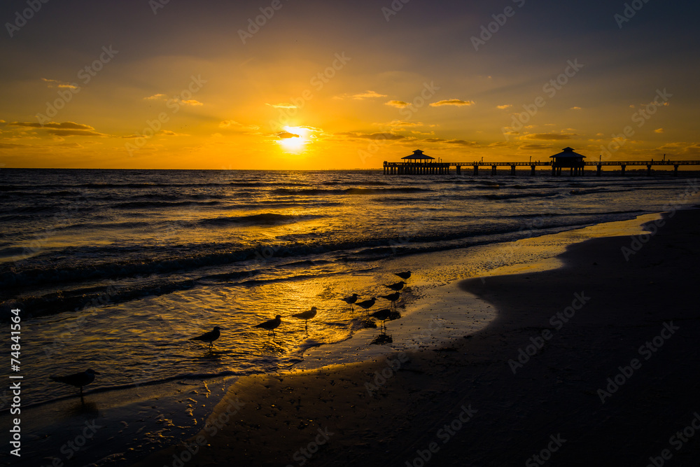 Seagulls and fishing pier at sunset in Fort Myers Beach, Florida