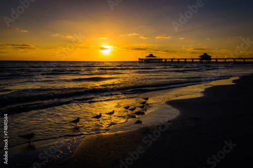 Seagulls and fishing pier at sunset in Fort Myers Beach, Florida