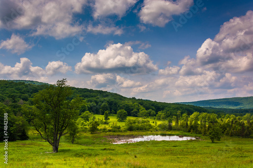 Wallpaper Mural Small pond at Canaan Valley State Park, West Virginia. Torontodigital.ca