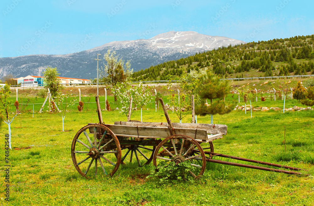 Vintage wood wagon near mountain, Turkey