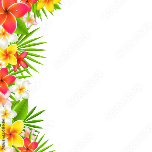 Flowers Border