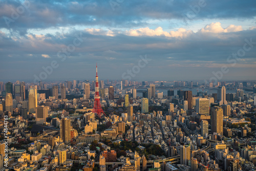 Tokyo aerial panoramic view