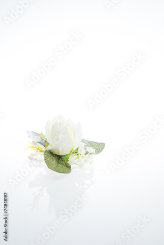 Fototapeta Naklejka Na Ścianę i Meble -  白い薔薇