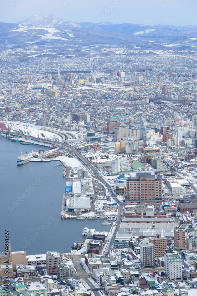 Cityscape of Hakodate