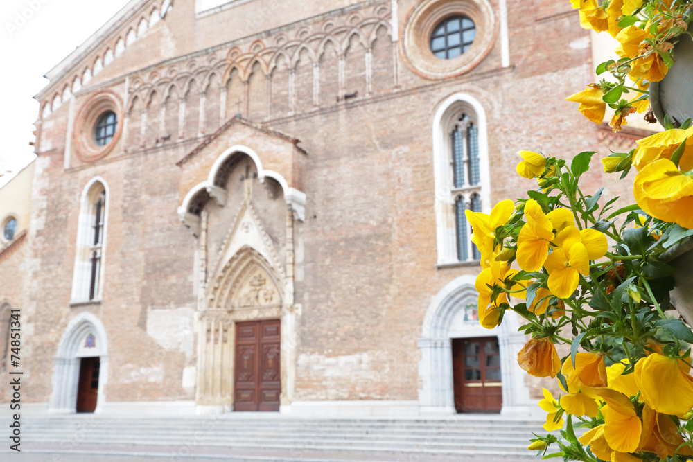 Cathedral of Udine, Italy, with yellow flowers