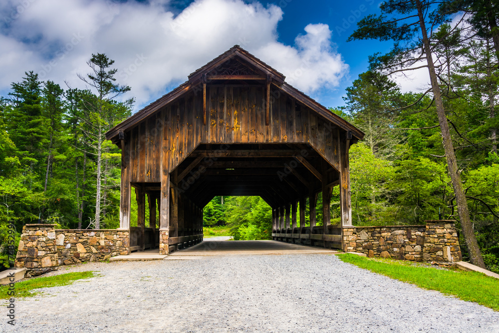 The covered bridge above High Falls, in Dupont State Forest, Nor The covered bridge above High Falls, in Dupont State Forest, Nor