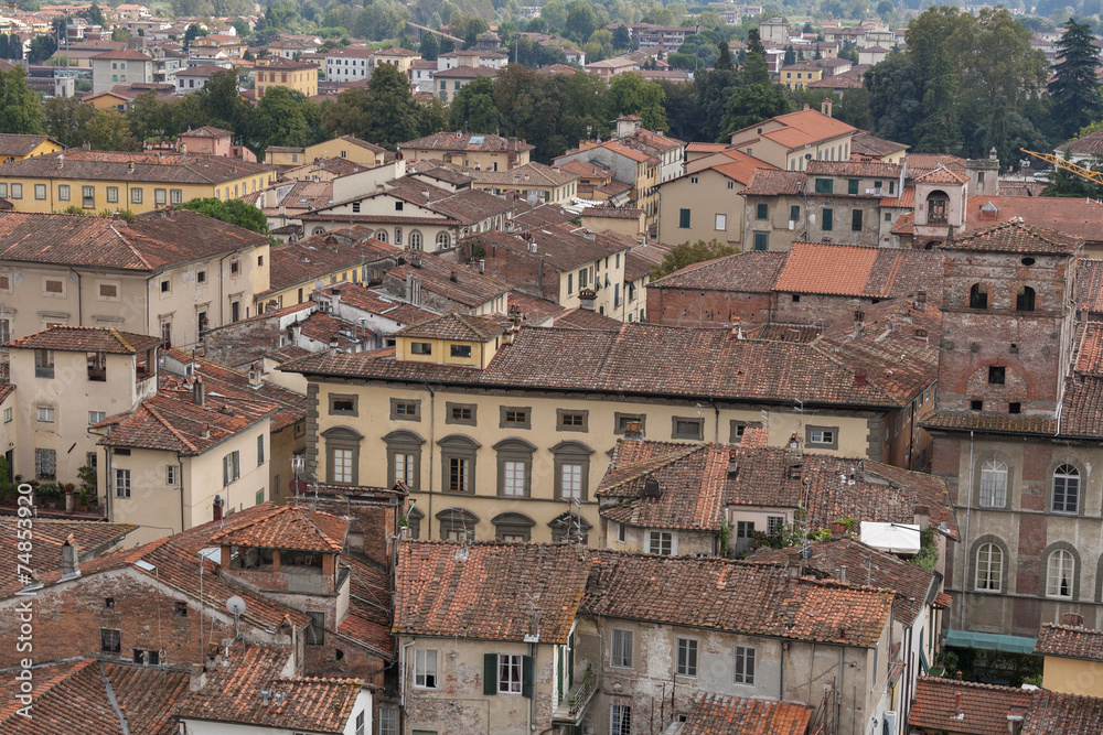 Lucca cityscape from the Guinigi tower, Italy