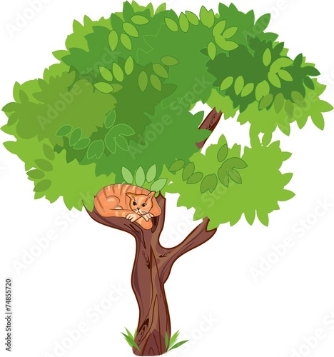 Cat on a tree