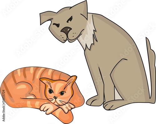 Dog and ginger cat