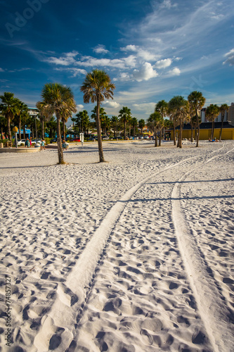 Tire tracks in the sand and palm trees on the beach in Clearwate