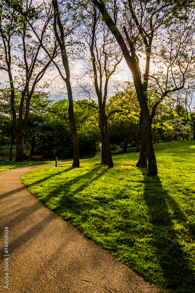 Trees along a path at Wilde Lake Park in Columbia, Maryland. Trees along a path at Wilde Lake Park in Columbia, Maryland.