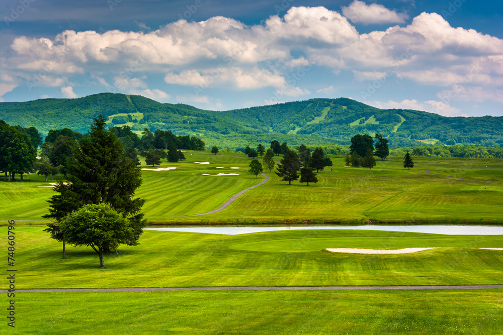 View of a golf course and distant mountains at Canaan Valley Sta