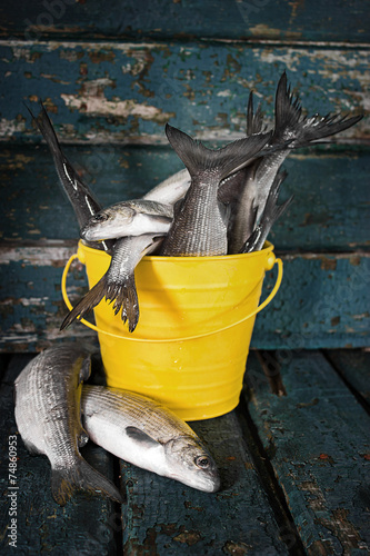 Raw fish in a bucket