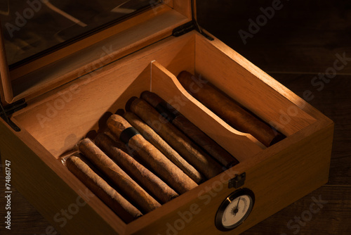 The art of cigars