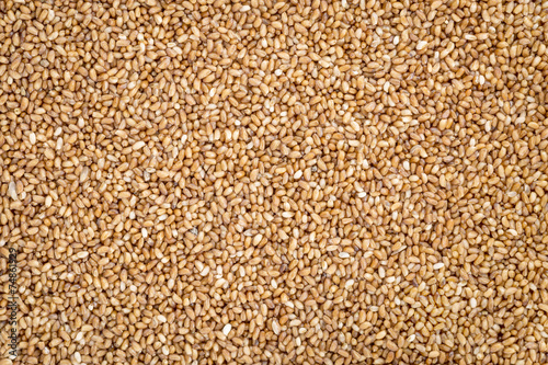 teff grain background