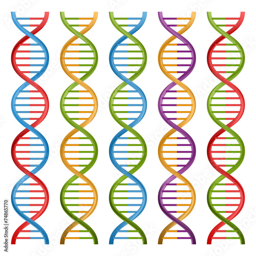Set of DNA symbols for science and medicine. Vector design.
