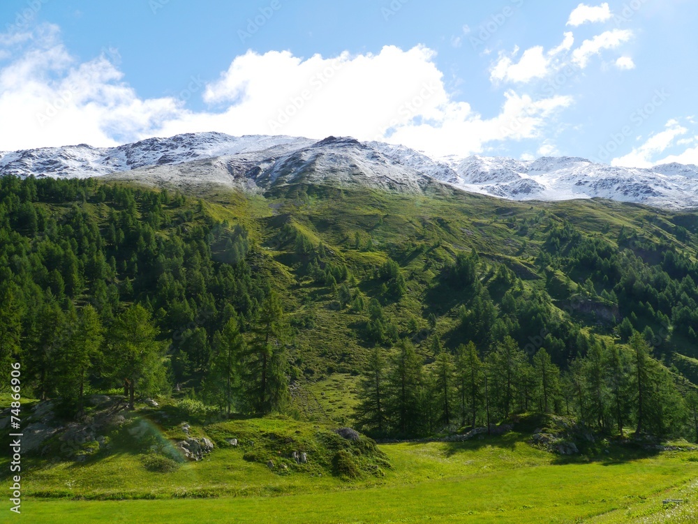 Naklejka premium Bernina pass or Passo del Bernina in Switzerland