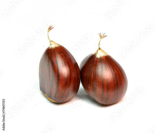 chestnut two like lovers , chesnut isolated details