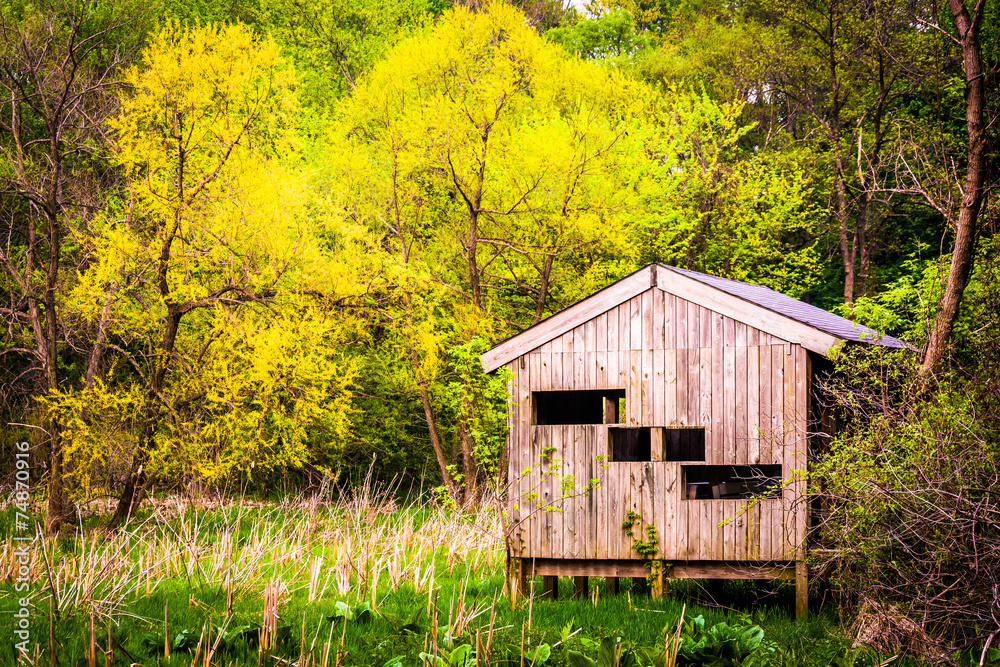 Bird blind and spring color at Wildwood Park in Harrisburg, Penn Bird blind and spring color at Wildwood Park in Harrisburg, Penn
