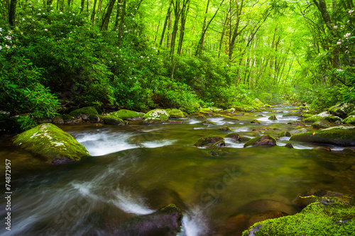 Cascades in the Oconaluftee River, at Great Smoky Mountains Nati