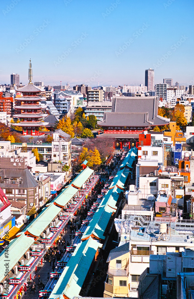 Fototapeta premium ビルの上から見た浅草寺の風景