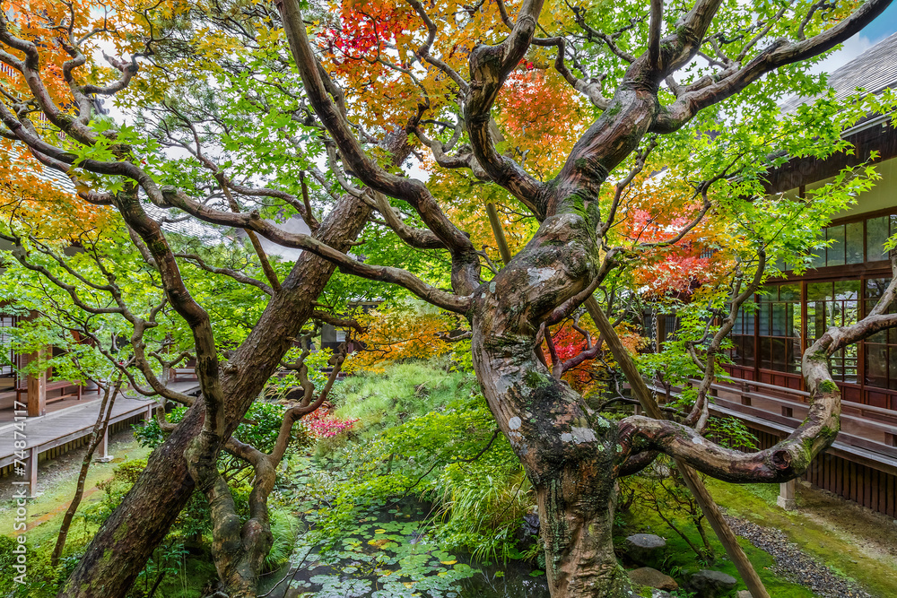 Fototapeta premium Eikando Temple in Kyoto