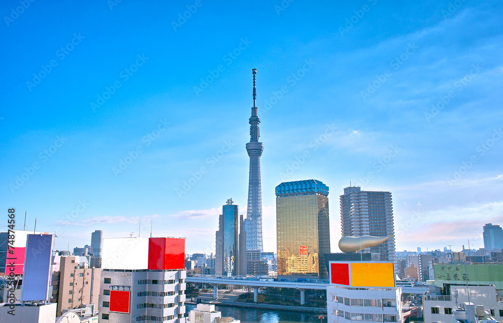 Naklejka premium Tokyo Sky Tree