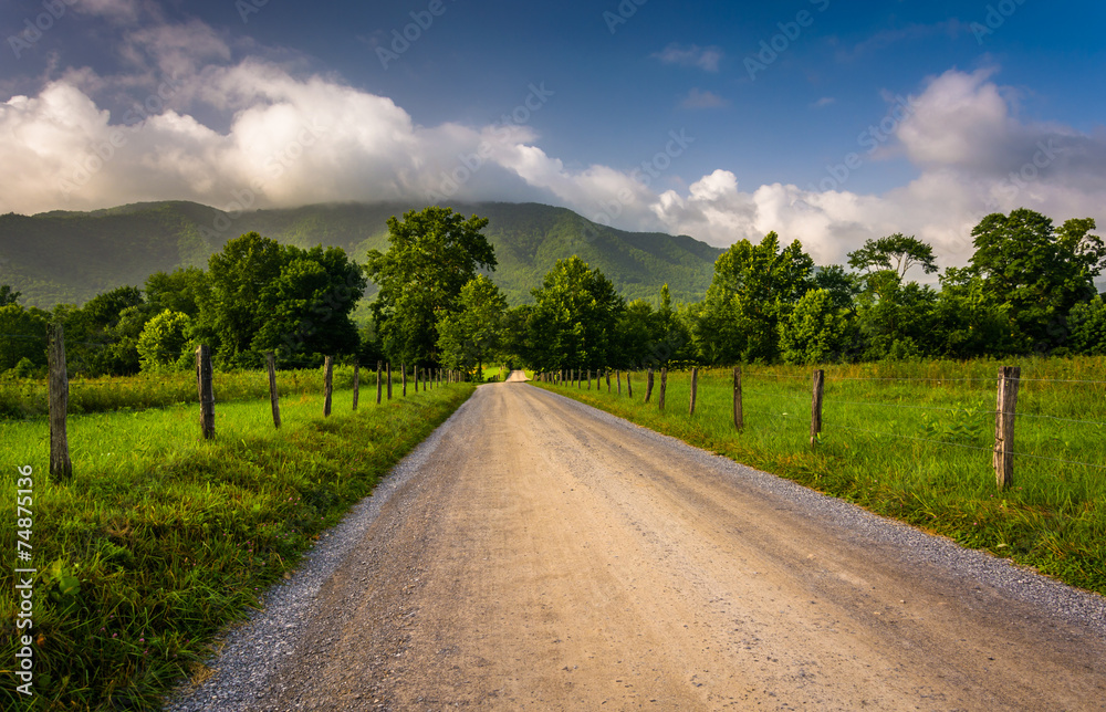 Naklejka premium Dirt road at Cade's Cove , Great Smoky Mountains National Park,