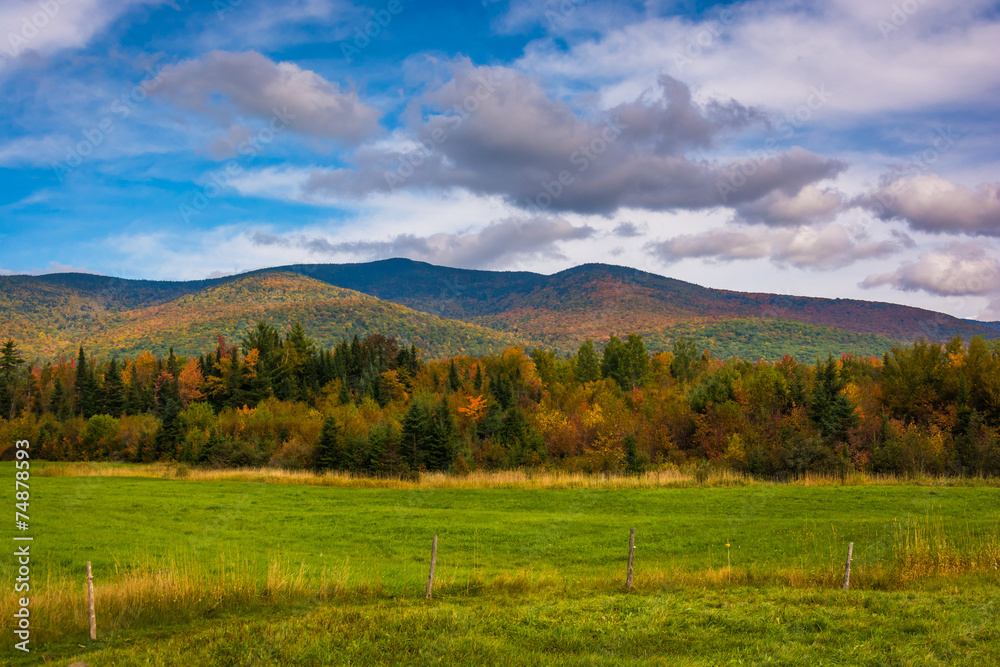 Farm field and autumn color in the White Mountains near Jefferso