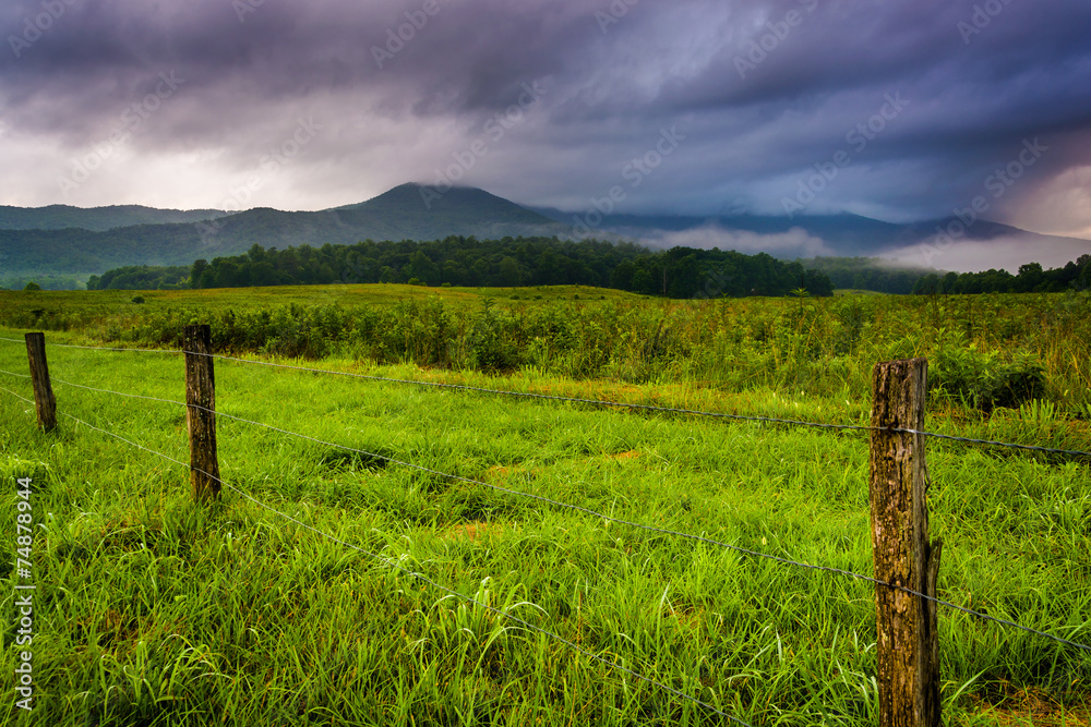 Fence in a field and low clouds over mountains at Cade's Cove, G