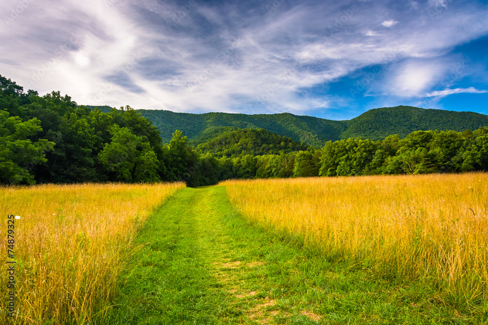 Field and mountains at Cade's Cove, Great Smoky Mountains Nation