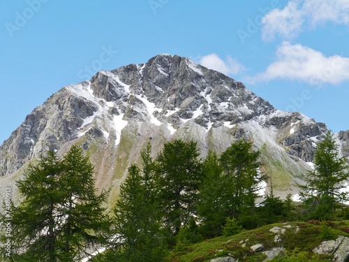 Bernina pass or Passo del Bernina in Switzerland photo