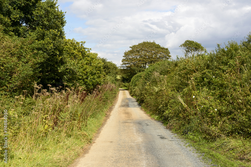 small country road near Mevagissey, Cornwall