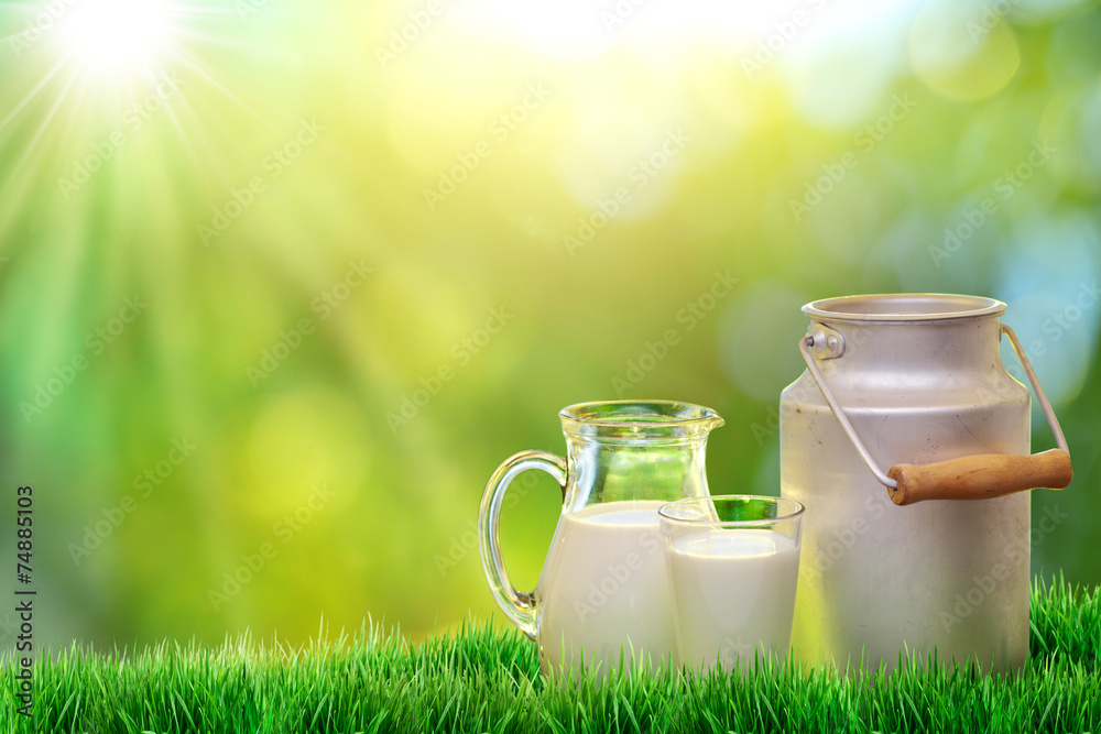 Fresh organic milk. Nature background. Fresh organic milk. Nature background.