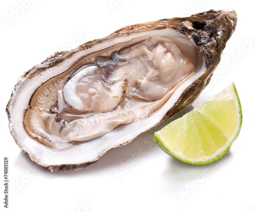 Raw oyster and lemon on a whte background.